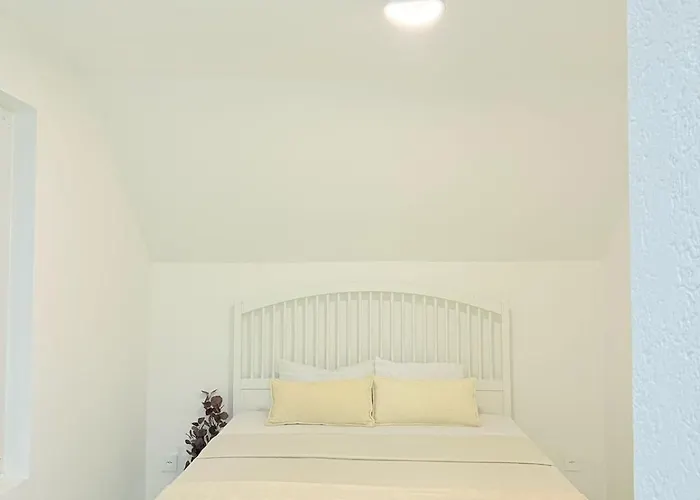 Luxrem-de 5 Lejlighed Biel